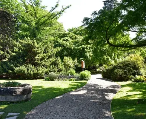 terrassement Bazouges-4